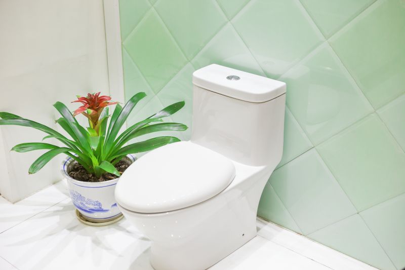 Get Correct Installation with Professional Toilet Installers!