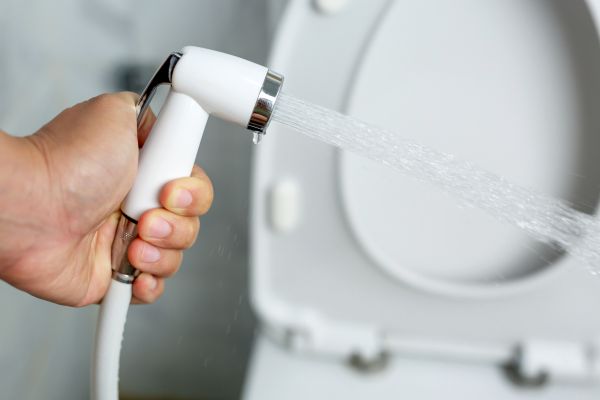 Bidet Installation - Bidet Installation Sarasota County, Florida