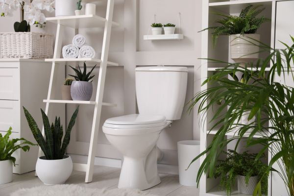 Toilet Leak Repair