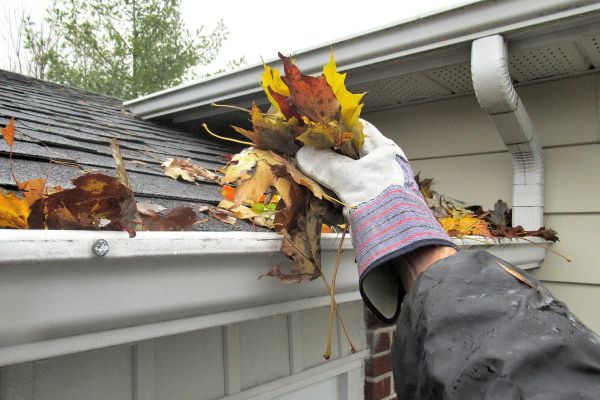 Leaf Gutter Cleaning - Leaf Gutter Cleaning Middletown, Delaware