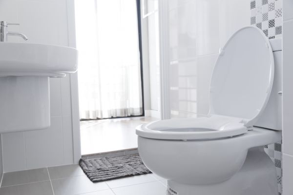 Toilet Seat Installation