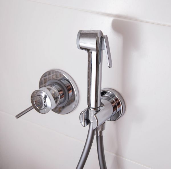 Bidet Mounting - Bidet Mounting Sarasota County, Florida