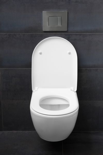 Toilet Lid Installation - Toilet Lid Installation Santa Rosa, California